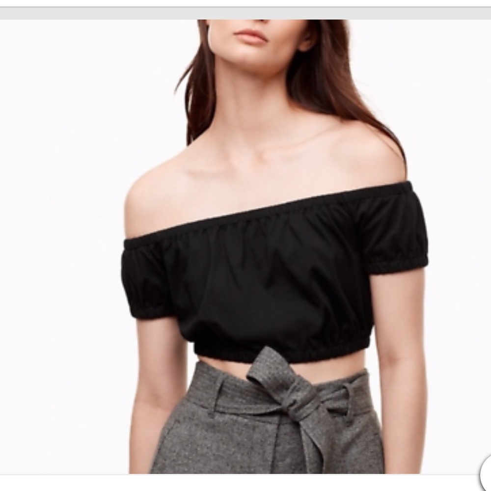 Aritzia Wilfred Adelisa Crop top